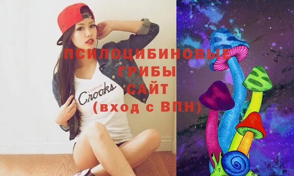 индика Балабаново
