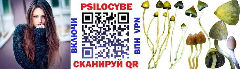 Псилоцибиновые грибы мицелий  закладка  Кирс 